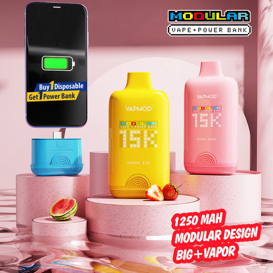 Vapmod Modular 15K Disposable Vape 15000 Puffs | QD120